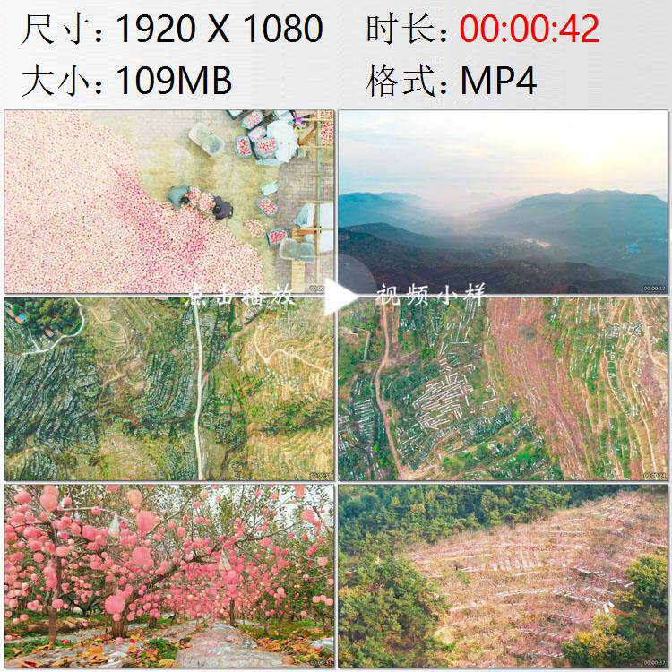 航拍山东沂蒙山区淄博沂源县苹果种植果园丰收高清实拍视频素材
