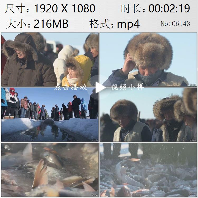 吉林查干湖冬捕渔民们收网捕鱼丰收的喜悦高清实拍视频素材
