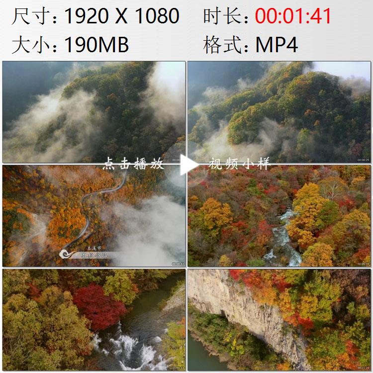 航拍辽宁本溪山区枫林秋景本桓公路火红的枫叶高清实拍视频素材