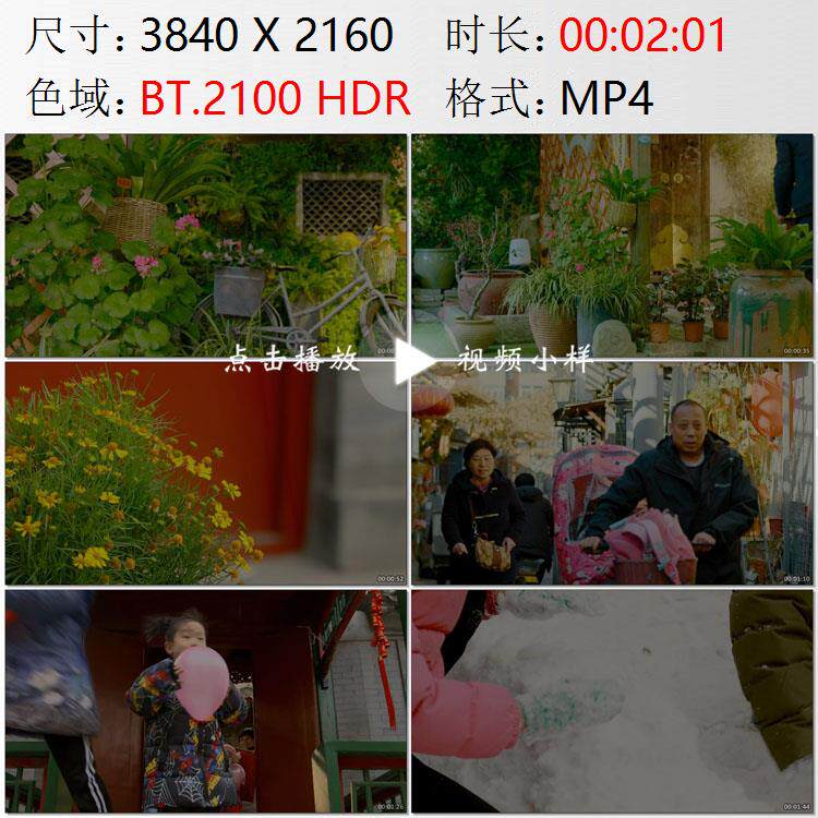 北京东四花店养花胡同行人喜庆放气球中国元素打雪仗实拍视频素材 - 实物图