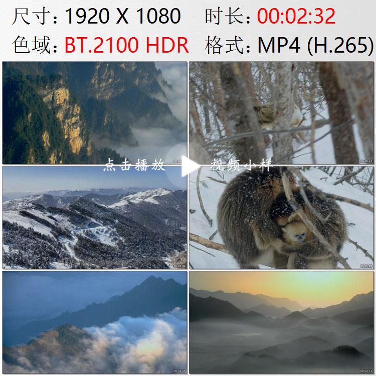 航拍湖北神农架林区层峦叠嶂云雾仙境川金丝猴大九湖实拍视频素材