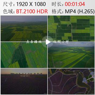 航拍甘肃河西走廊张掖民乐油菜花田麦田金昌马鞭草田野视频素材