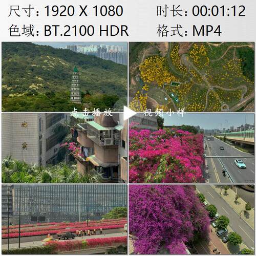 航拍广西南宁黄花风铃木三角梅楼外鲜花瀑布高清实拍视频素材
