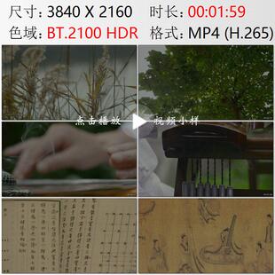 河南周口淮阳古城城郊芦苇梧桐树伏羲造古琴礼乐之邦实拍视频素材