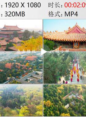 航拍山东曲阜孔府孔庙孔林古建筑群清明节祭祖传统文化视频素材