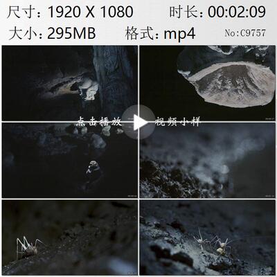 乐业天坑地下河巨型钟乳石地下昆虫斑灶马镜头特写实拍视频素材