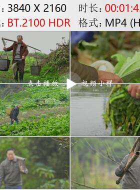 航拍重庆龙兴古镇山坡农田农民种菜浇水施肥收割养鸡实拍视频素材