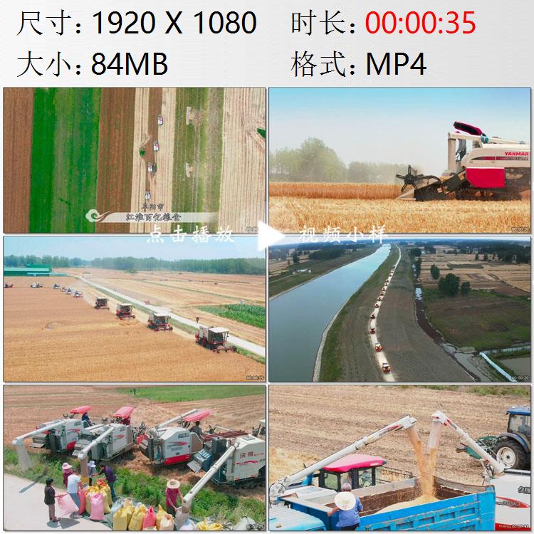 航拍安徽阜阳江淮百亿粮仓农田联合收割机小麦丰收运输视频素材