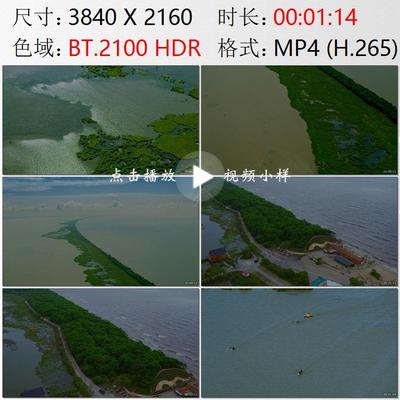 航拍黑龙江三江平原北大仓湿地鸟群生态保护大小兴凯湖视频素材