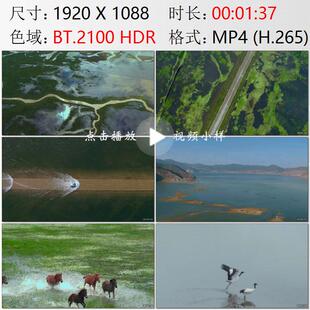 航拍云南迪庆香格里拉纳帕海湖泊与依拉草原马群黑颈鹤视频素材