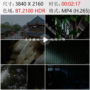 四川眉山纱縠行老街图书馆读书街边商铺书楼藏书古建筑视频素材