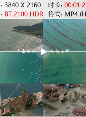 航拍辽宁大连长海县海洋牧场渔民捕捞扇贝生蚝现场加工视频素材
