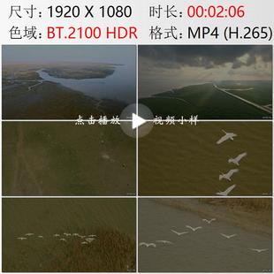 航拍上海崇明岛北湖日出长江入海口东滩湿地候鸟迁徙实拍视频素材