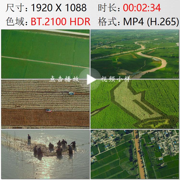 航拍宁夏黄河银川平原稻田图画万亩鱼塘葡萄园塞上江南视频素材