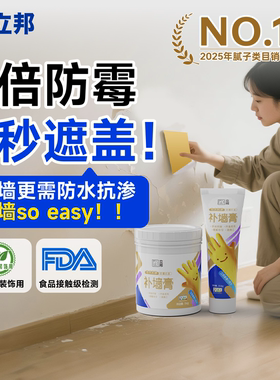 立邦补墙膏防水防潮防霉墙面修补膏白色墙壁反碱修复白墙腻子膏