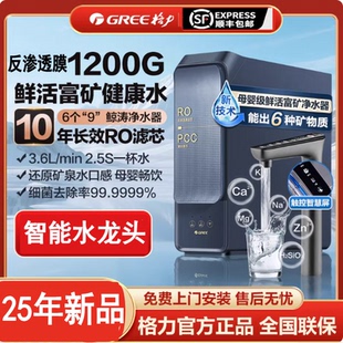 格力净水器反渗透净水机触控黄河水母婴直饮1200G大流量7年RO新品