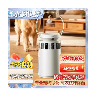 格力宠物净化器猫狗专业除异味净化高效负离子祛味除菌KJ380F A01