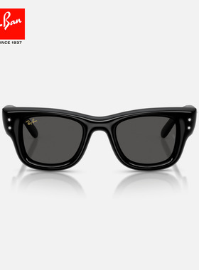 RayBan雷朋方形尼龙太阳镜