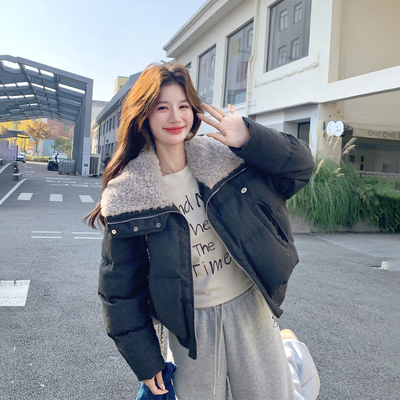 毛毛大翻领黑色短款小个子羽绒服