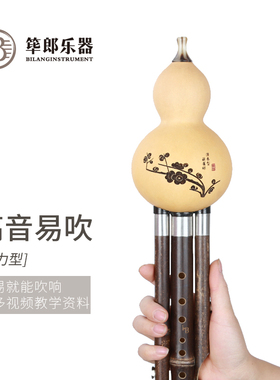 筚郎葫芦丝乐器初学专业演奏音准耐用葫芦丝C调降B调G调F调小学生
