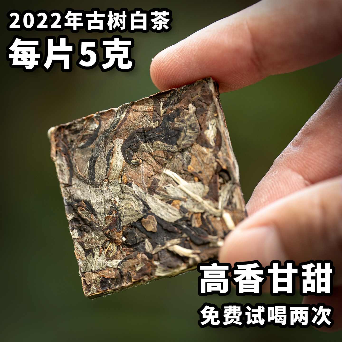 古树白茶方便冲泡云南大叶种茶