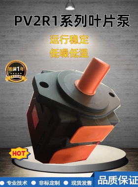 PV2R1-17油泵PV2R1叶片泵 液压系统专用铸铁红色 PV2R1-19 变量泵