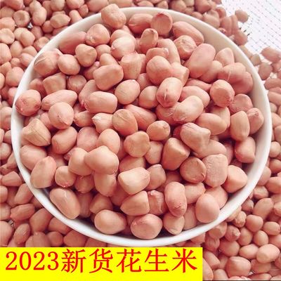 新货2023年花生米大颗粒花生豆 大白沙花生粒颗粒饱满农家花生仁