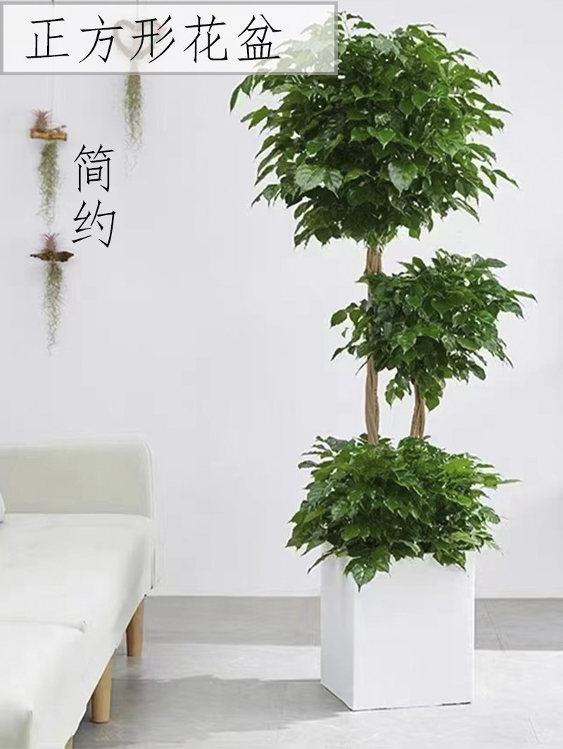 PP塑料花盆北欧简约加厚四方形