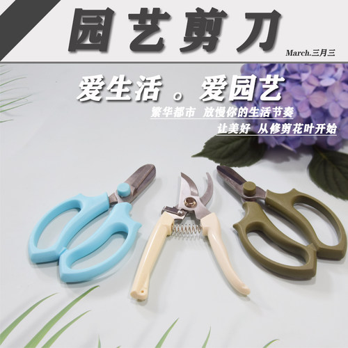 园艺剪刀花艺家用树枝修枝工具