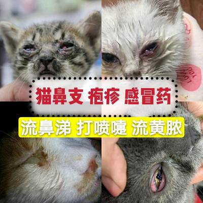 猫支鼻打喷嚏疱疹病毒消炎感冒药