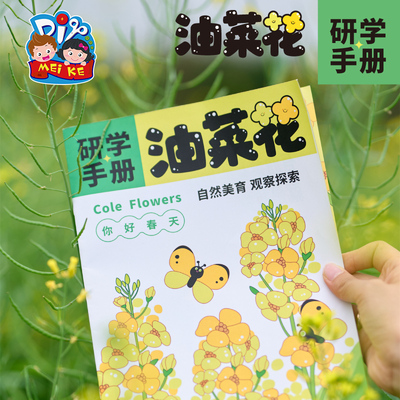 户外春天油菜花研学手册手工