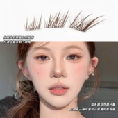 棕色免胶苏妲己短款 单簇分段式 狐系斜飞浓密自然仿真狐狸眼假睫毛