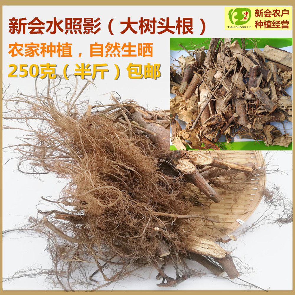 广东省生晒新会水照影根干货土特产养山螃蟹肝煲汤食材水照影煲汤