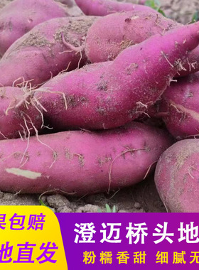 海南澄迈桥头富硒地瓜正宗板栗红薯新鲜产地直发农家沙地薯番薯