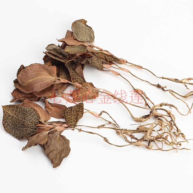 种植整株林下福建南靖50金线莲