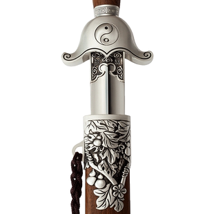 龙泉杨式太极剑宝剑不锈钢男女士晨练剑锻炼软剑武术表演剑未开刃