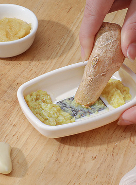 日本进口ECHO厨房多功能手动生姜末磨泥器搓捣蒜蓉研磨搅碎小工具