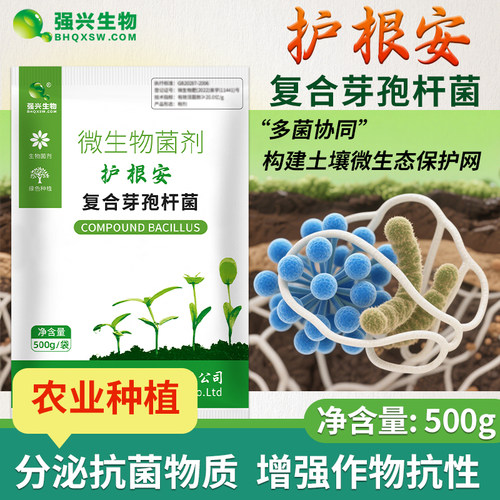 护根安枯草芽孢杆菌烂根青枯软腐
