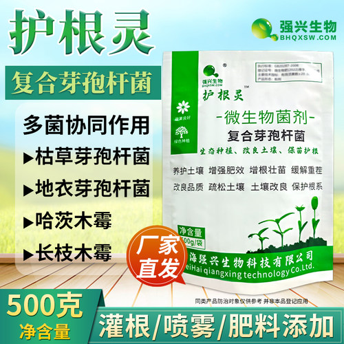 护根灵枯草芽孢杆菌烂根青枯软腐