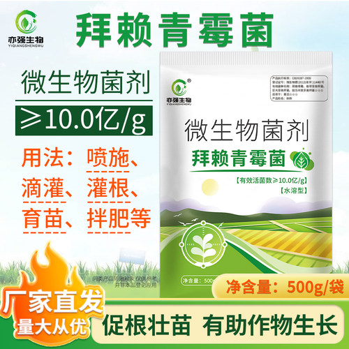 10亿/克微生物菌拜赖青霉