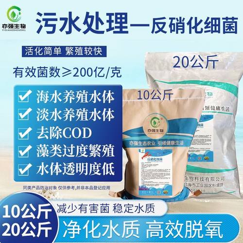 污水处理专用菌反硝化细菌