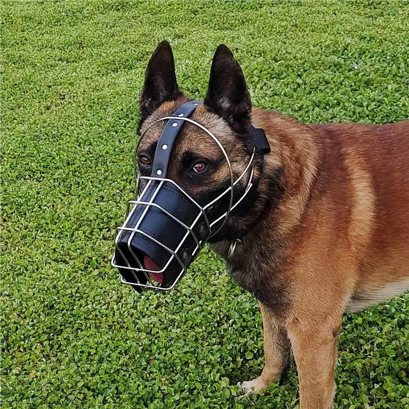 马犬德牧猛犬比特犬罗威纳不锈钢嘴套狗笼头防咬防头套口笼口罩