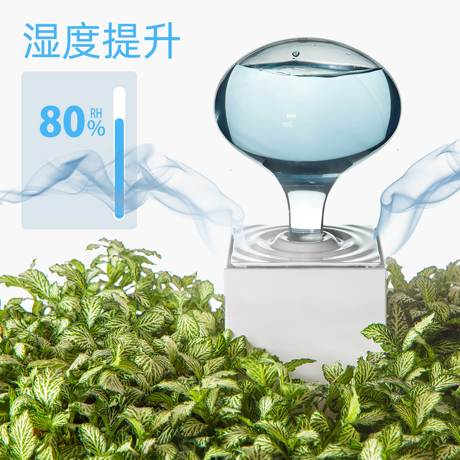 【植物加湿】LeGrow热带雨林补水