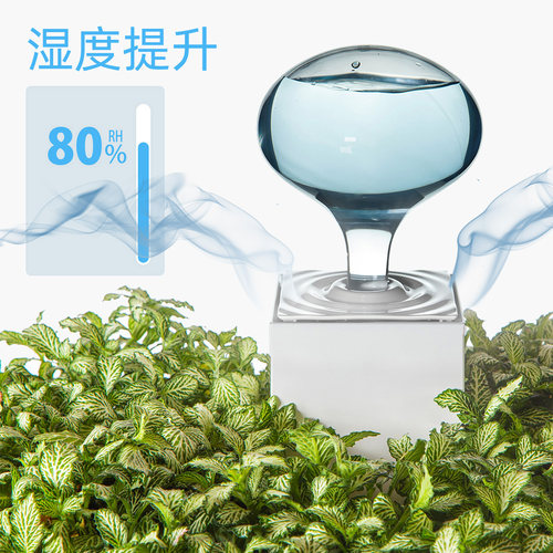 【植物加湿】LeGrow热带雨林补水