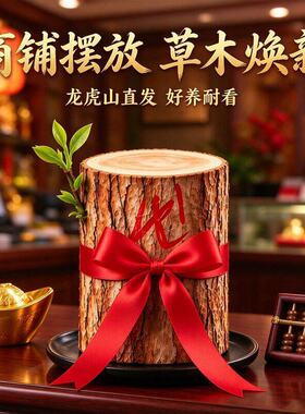 【雷击香龙木】龙虎山能