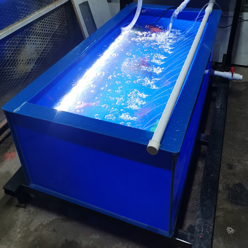 定制加厚PP塑料 龟箱鱼缸阳台家用 一体锦鲤缸养鱼池花园金鱼鱼箱