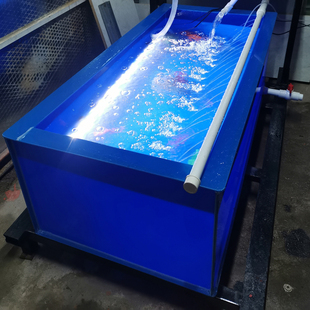 定制加厚PP塑料 龟箱鱼缸阳台家用 一体锦鲤缸养鱼池花园金鱼鱼箱