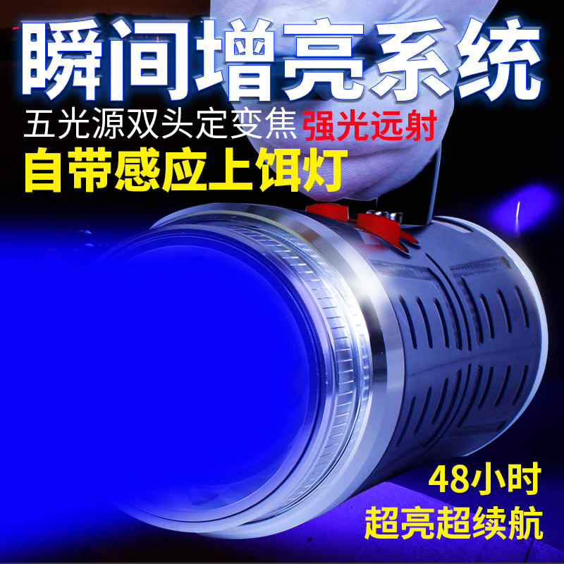 钓鱼灯夜钓灯超亮2000强光蓝光?#25340;?#21151;率W台钓氙气野钓电筒夜光灯