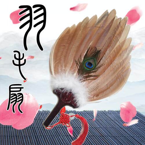 天然羽毛扇子孔雀翎工艺扇