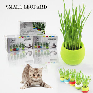 小野豹糖果种植猫草 泥土猫草套装 内有两套花盆+水晶泥+种子